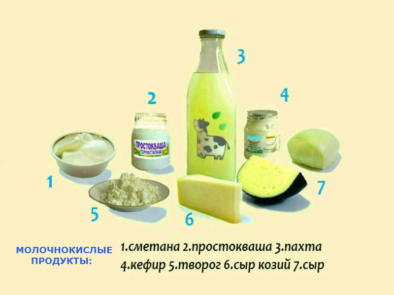 молочнокислые продукты.jpg 800-600.jpg