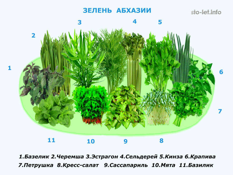 04 Логотип Зелень Абхазии 800-600.jpg